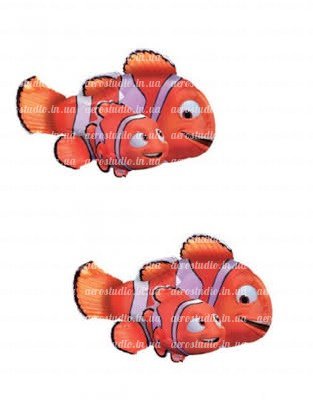 Оранжевая рыбка «Немо»